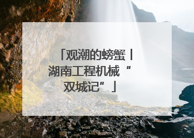 观潮的螃蟹丨湖南工程机械“双城记”