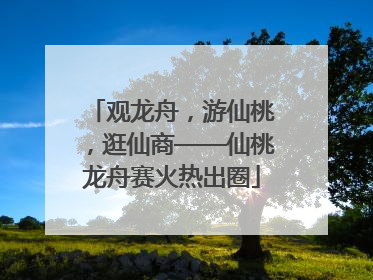 观龙舟，游仙桃，逛仙商——仙桃龙舟赛火热出圈