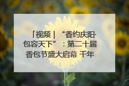 视频｜“香约庆阳·包容天下”：第二十届香包节盛大启幕 千年非遗香飘世界