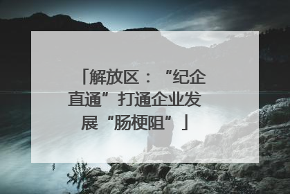解放区：“纪企直通”打通企业发展“肠梗阻”