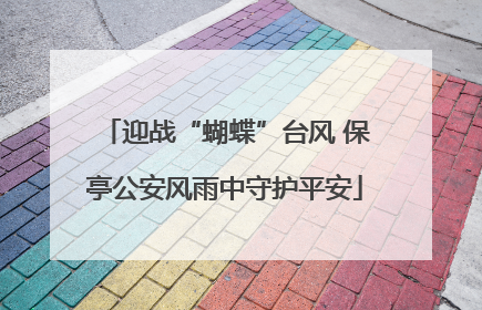 迎战“蝴蝶”台风 保亭公安风雨中守护平安