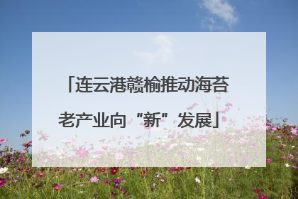 连云港赣榆推动海苔老产业向“新”发展