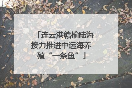 连云港赣榆陆海接力推进中远海养殖“一条鱼”