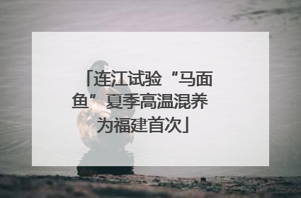 连江试验“马面鱼”夏季高温混养 为福建首次