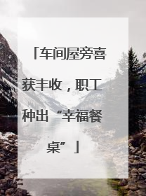 车间屋旁喜获丰收，职工种出“幸福餐桌”