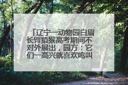 辽宁一动物园白眉长臂猿猴高考期间不对外展出，园方：它们一高兴就喜欢鸣叫，怕影响考试
