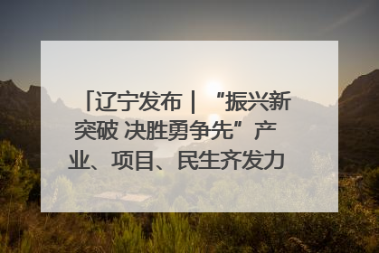 辽宁发布｜“振兴新突破 决胜勇争先”产业、项目、民生齐发力 葫芦岛按下决胜之年“加速键”