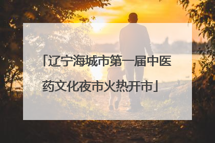 辽宁海城市第一届中医药文化夜市火热开市