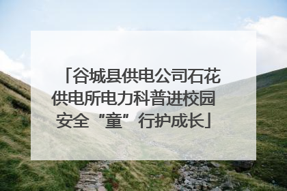 谷城县供电公司石花供电所电力科普进校园安全“童”行护成长