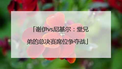 谢伊vs尼基尔：堂兄弟的总决赛席位争夺战