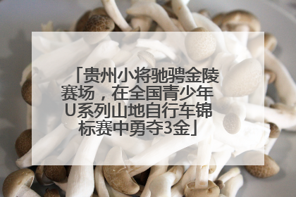 贵州小将驰骋金陵赛场，在全国青少年U系列山地自行车锦标赛中勇夺3金