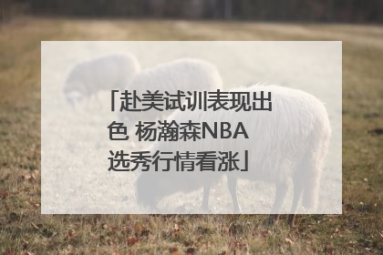 赴美试训表现出色 杨瀚森NBA选秀行情看涨