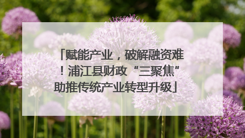 赋能产业，破解融资难！浦江县财政“三聚焦”助推传统产业转型升级
