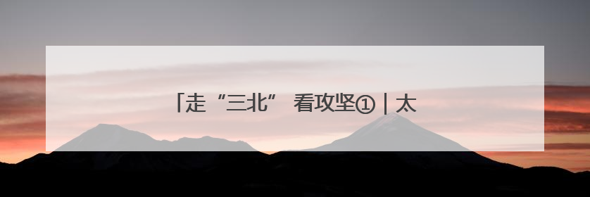 走“三北” 看攻坚①｜太行披“绿装” 连翘药茶香