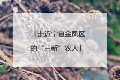 走近宁夏金凤区的“三新”农人