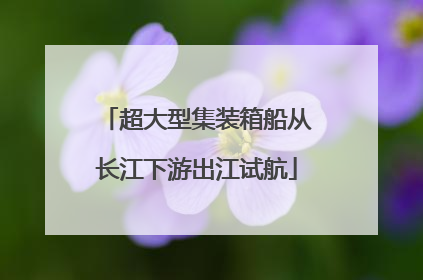 超大型集装箱船从长江下游出江试航