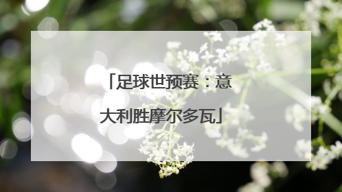 足球世预赛：意大利胜摩尔多瓦