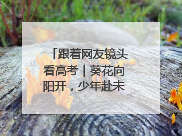 跟着网友镜头看高考｜葵花向阳开，少年赴未来，安乡高考首日的希望图景