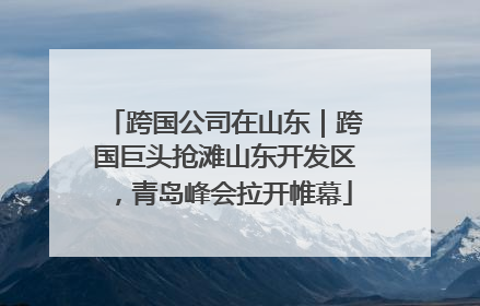 跨国公司在山东｜跨国巨头抢滩山东开发区，青岛峰会拉开帷幕