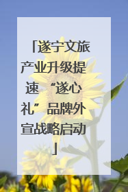遂宁文旅产业升级提速 “遂心礼”品牌外宣战略启动