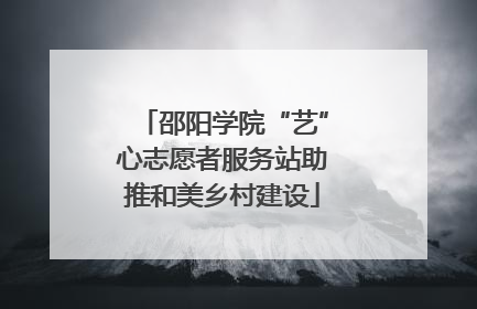 邵阳学院“艺”心志愿者服务站助推和美乡村建设