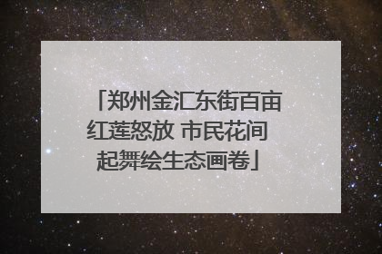郑州金汇东街百亩红莲怒放 市民花间起舞绘生态画卷