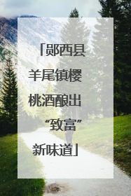 郧西县羊尾镇樱桃酒酿出“致富”新味道