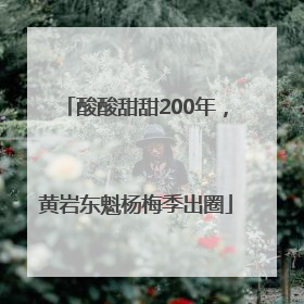酸酸甜甜200年，黄岩东魁杨梅季出圈