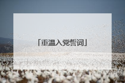 重温入党誓词