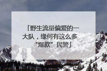 野生流量偏爱的一大队，缘何有这么多“爆款”民警