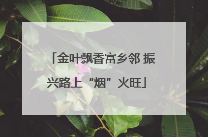 金叶飘香富乡邻 振兴路上“烟”火旺