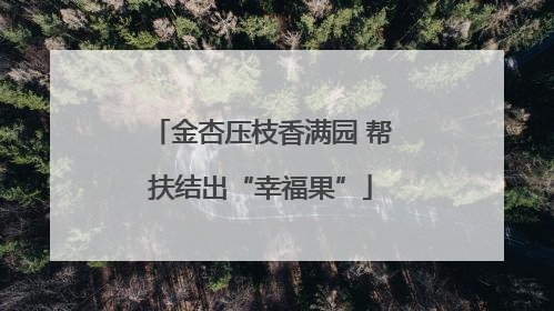 金杏压枝香满园 帮扶结出“幸福果”