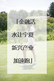 金融活水让宁夏新兴产业加速跑