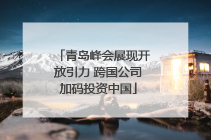 青岛峰会展现开放引力 跨国公司加码投资中国