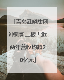 青岛武晓集团冲刺新三板！近两年营收均超20亿元