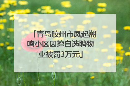 青岛胶州市凤起潮鸣小区因擅自选聘物业被罚3万元