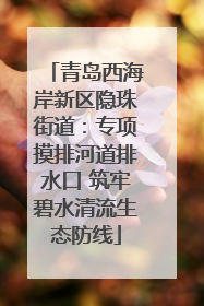 青岛西海岸新区隐珠街道：专项摸排河道排水口 筑牢碧水清流生态防线