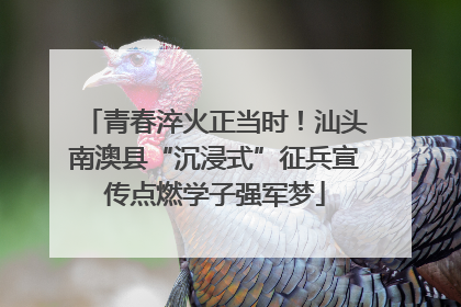 青春淬火正当时！汕头南澳县“沉浸式”征兵宣传点燃学子强军梦