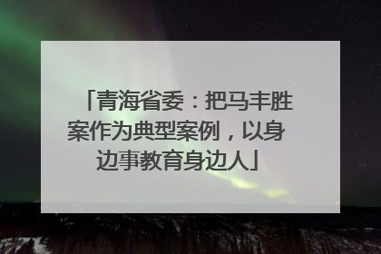 青海省委：把马丰胜案作为典型案例，以身边事教育身边人