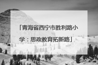 青海省西宁市胜利路小学：思政教育拓新路