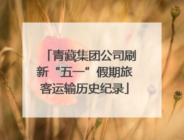 青藏集团公司刷新“五一”假期旅客运输历史纪录