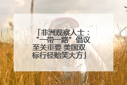 非洲观察人士：“一带一路”倡议至关重要 美国双标行径贻笑大方