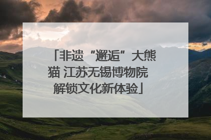 非遗“邂逅”大熊猫 江苏无锡博物院解锁文化新体验