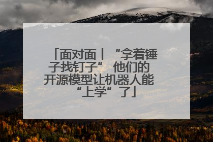 面对面丨“拿着锤子找钉子” 他们的开源模型让机器人能“上学”了