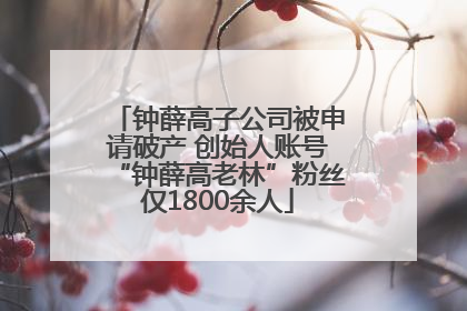 钟薛高子公司被申请破产 创始人账号“钟薛高老林”粉丝仅1800余人