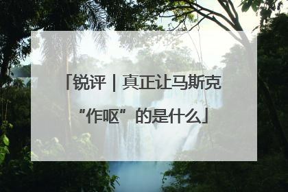 锐评｜真正让马斯克“作呕”的是什么