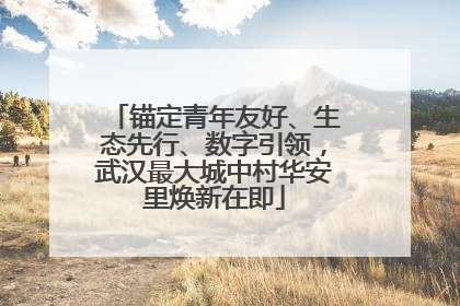 锚定青年友好、生态先行、数字引领，武汉最大城中村华安里焕新在即