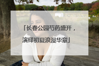 长春公园芍药盛开，演绎初夏浪漫华章