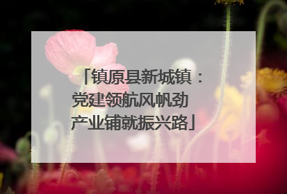 镇原县新城镇：党建领航风帆劲 产业铺就振兴路