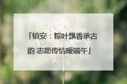 镇安：粽叶飘香承古韵 志愿传情暖端午